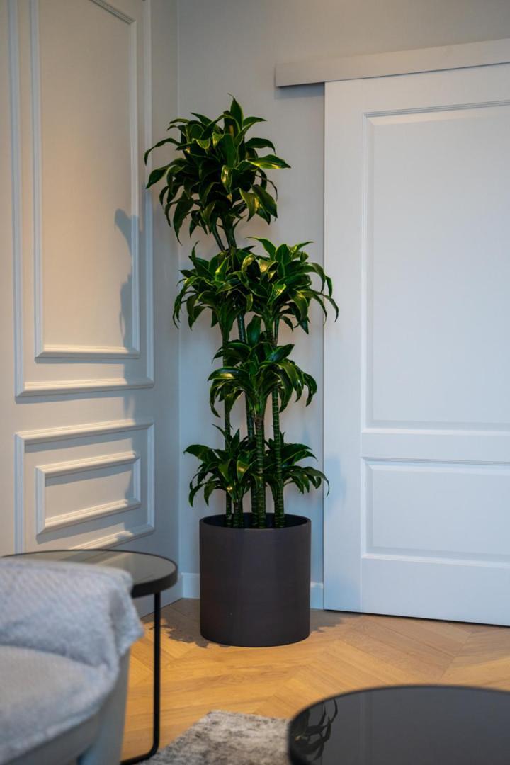Apartment Old Town - Location, Workspace - By Rentujemy *